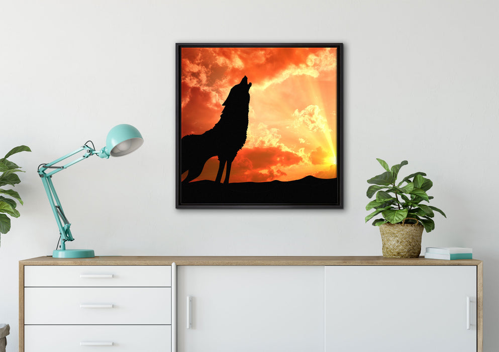 Wolf Heulen auf Leinwandbild gerahmt Quadratisch verschiedene Größen im Wohnzimmer