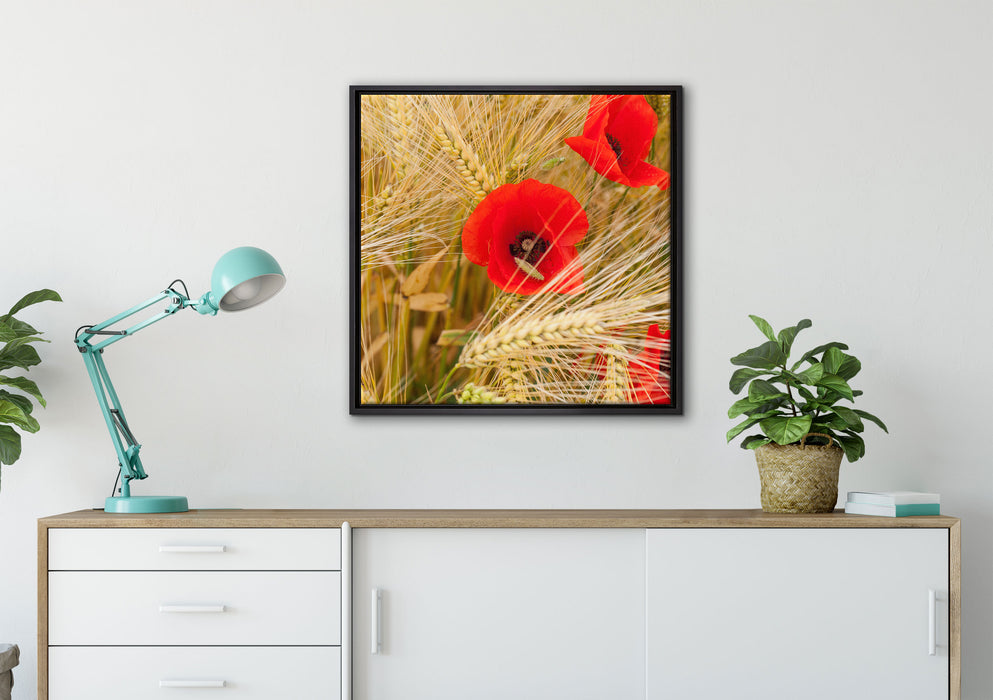 Mohnblumen auf dem Mais-Feld auf Leinwandbild gerahmt Quadratisch verschiedene Größen im Wohnzimmer