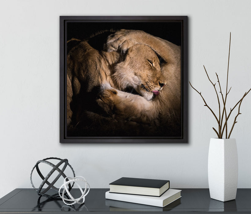Männer & Frauen Löwe kuscheln  auf Leinwandbild Quadratisch gerahmt mit Kirschblüten