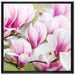 feine rosa farbende Blüte auf Leinwandbild Quadratisch gerahmt Größe 70x70