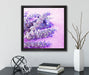 getrockneter Lavendel  auf Leinwandbild Quadratisch gerahmt mit Kirschblüten