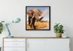schöner Elefant spritzt mit Wasser auf Leinwandbild gerahmt Quadratisch verschiedene Größen im Wohnzimmer