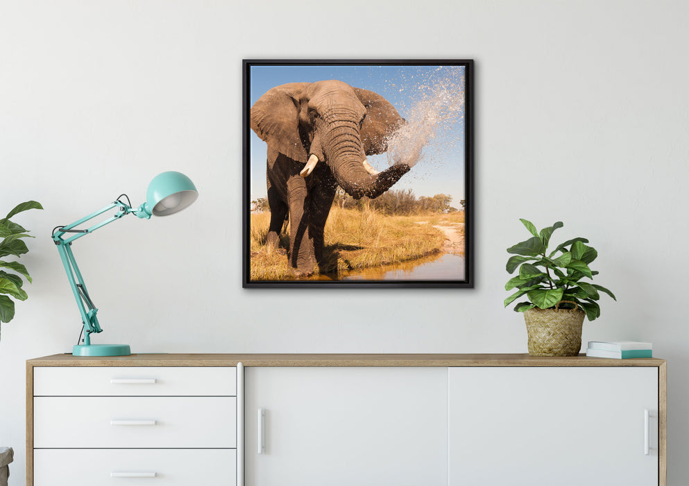 schöner Elefant spritzt mit Wasser auf Leinwandbild gerahmt Quadratisch verschiedene Größen im Wohnzimmer