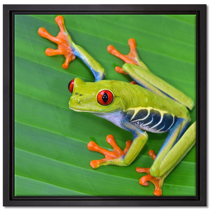 kleiner grüner Frosch auf Blatt auf Leinwandbild Quadratisch gerahmt Größe 40x40