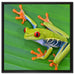 kleiner grüner Frosch auf Blatt auf Leinwandbild Quadratisch gerahmt Größe 60x60