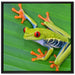kleiner grüner Frosch auf Blatt auf Leinwandbild Quadratisch gerahmt Größe 70x70