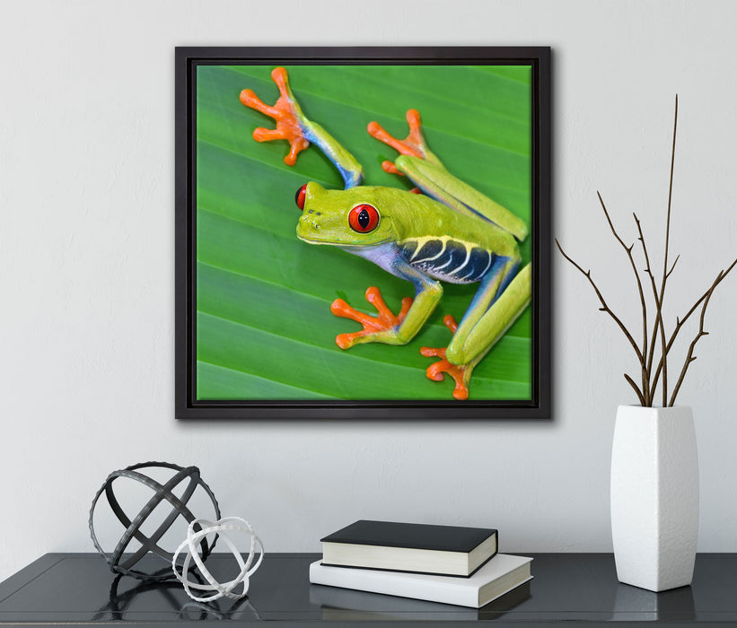kleiner grüner Frosch auf Blatt  auf Leinwandbild Quadratisch gerahmt mit Kirschblüten