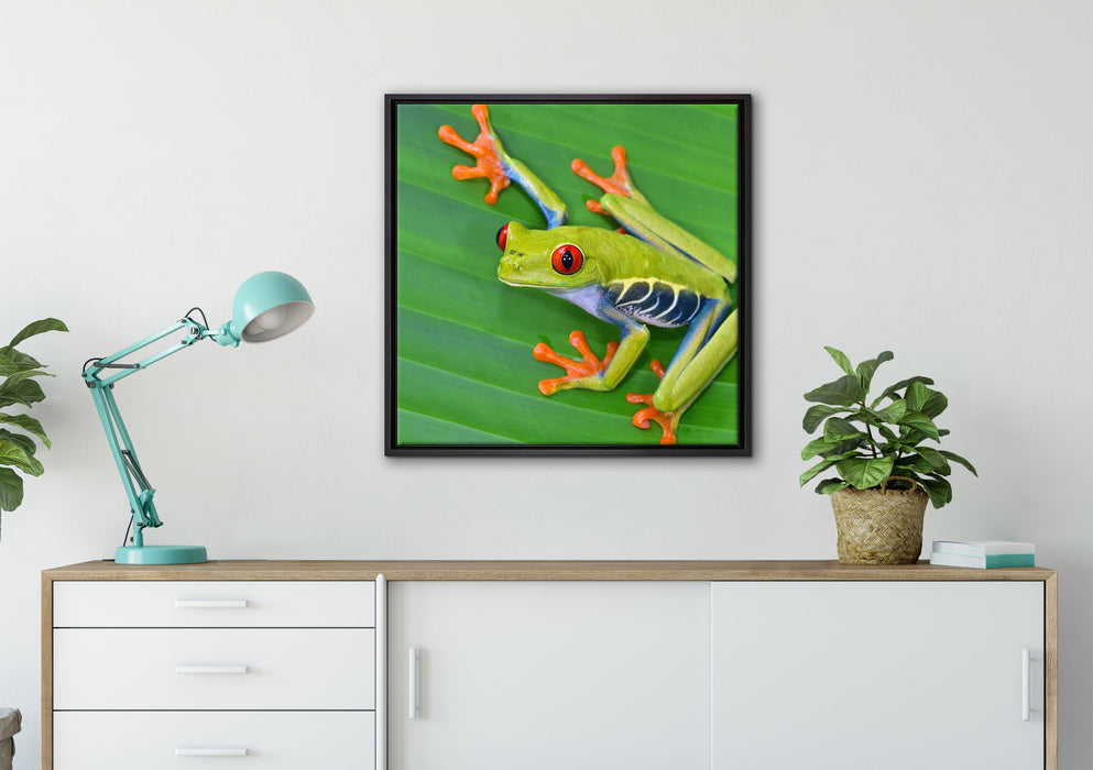 kleiner grüner Frosch auf Blatt auf Leinwandbild gerahmt Quadratisch verschiedene Größen im Wohnzimmer