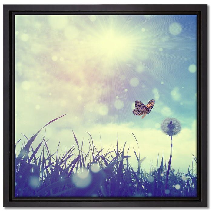 Schmetterling fliegt zu Pusteblume auf Leinwandbild Quadratisch gerahmt Größe 40x40