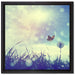Schmetterling fliegt zu Pusteblume auf Leinwandbild Quadratisch gerahmt Größe 40x40