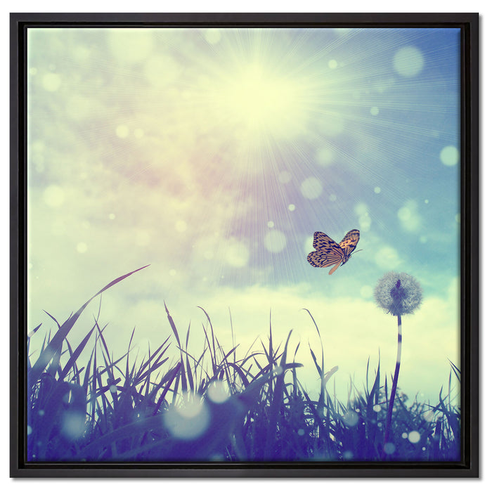 Schmetterling fliegt zu Pusteblume auf Leinwandbild Quadratisch gerahmt Größe 60x60