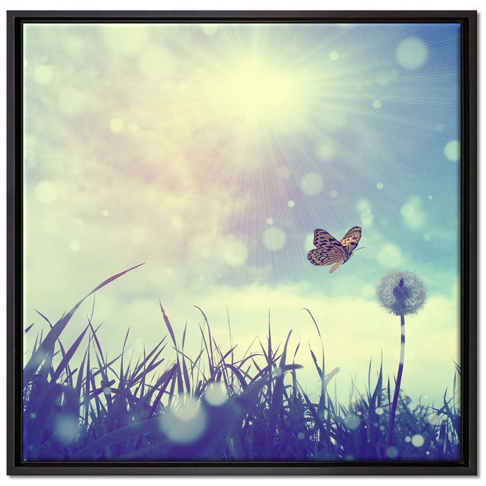 Schmetterling fliegt zu Pusteblume auf Leinwandbild Quadratisch gerahmt Größe 70x70
