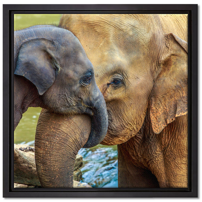 Elefantenmutter mit Kalb auf Leinwandbild Quadratisch gerahmt Größe 40x40