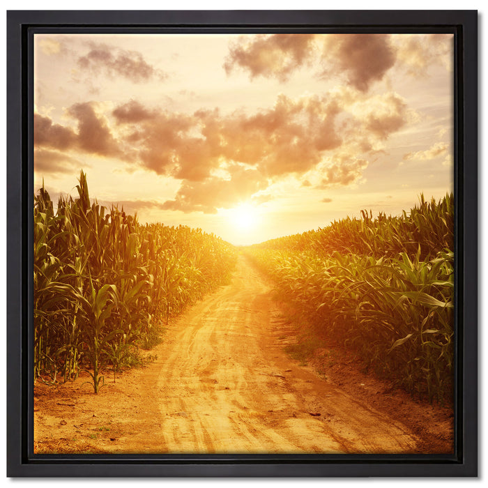 Pfad durch Feld auf Leinwandbild Quadratisch gerahmt Größe 40x40