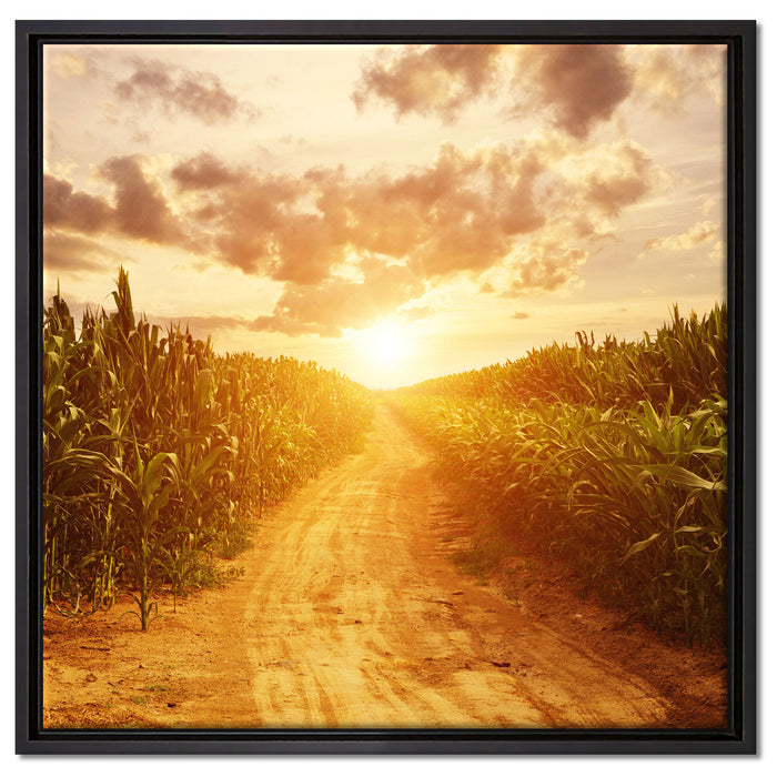 Pfad durch Feld auf Leinwandbild Quadratisch gerahmt Größe 60x60
