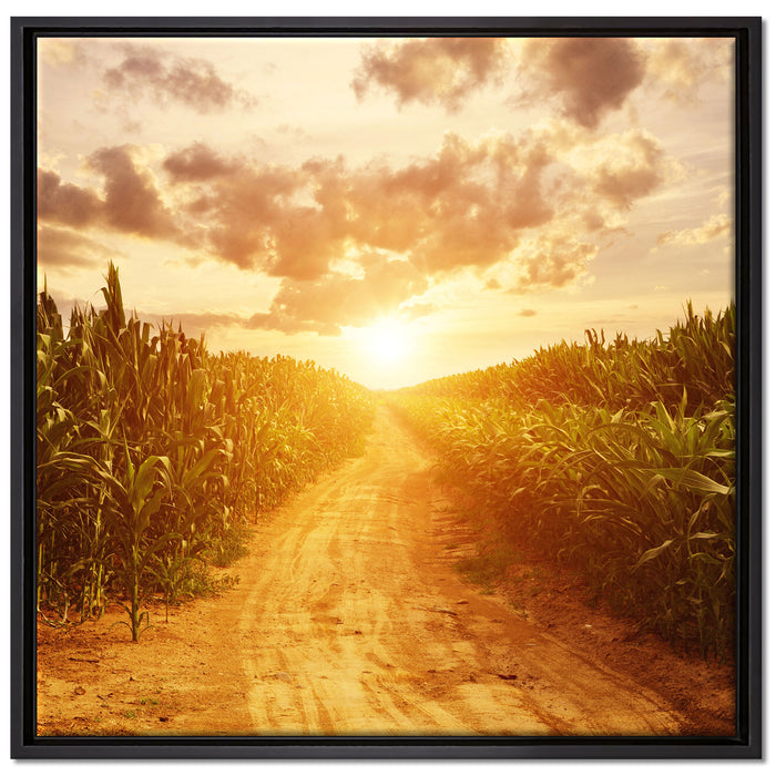 Pfad durch Feld auf Leinwandbild Quadratisch gerahmt Größe 70x70