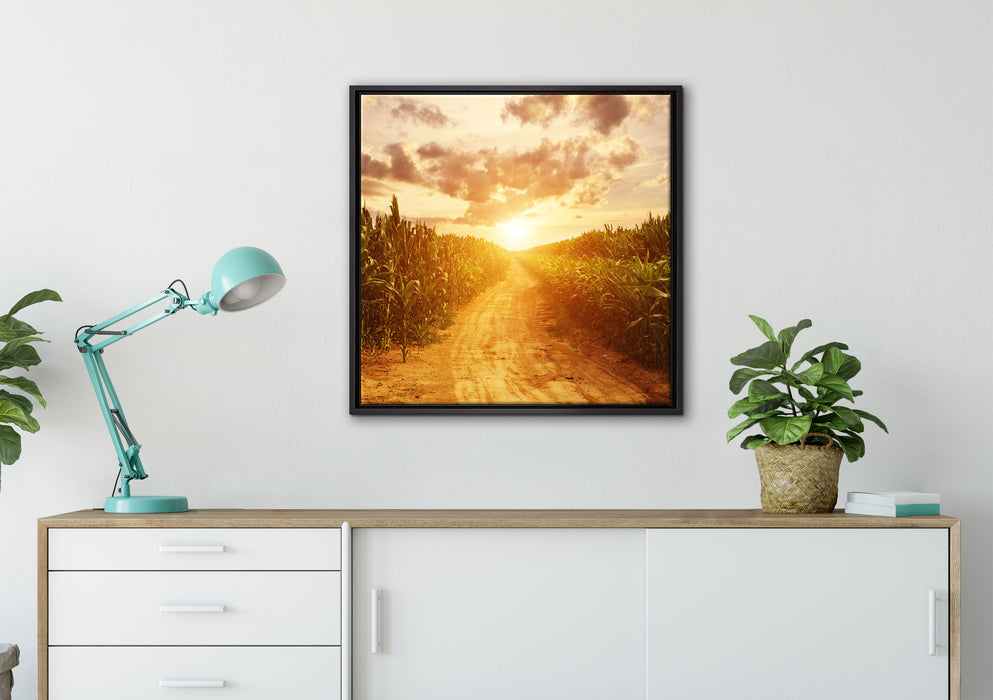Pfad durch Feld auf Leinwandbild gerahmt Quadratisch verschiedene Größen im Wohnzimmer