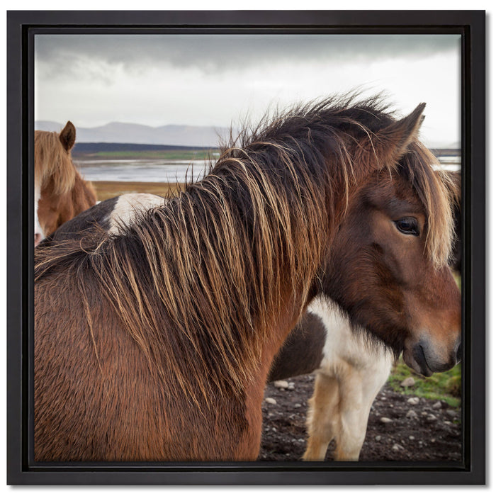Herde aus schönen Wildpferden auf Leinwandbild Quadratisch gerahmt Größe 40x40