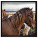 Herde aus schönen Wildpferden auf Leinwandbild Quadratisch gerahmt Größe 60x60