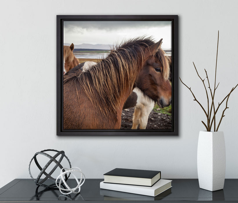 Herde aus schönen Wildpferden  auf Leinwandbild Quadratisch gerahmt mit Kirschblüten