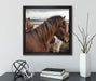 Herde aus schönen Wildpferden  auf Leinwandbild Quadratisch gerahmt mit Kirschblüten