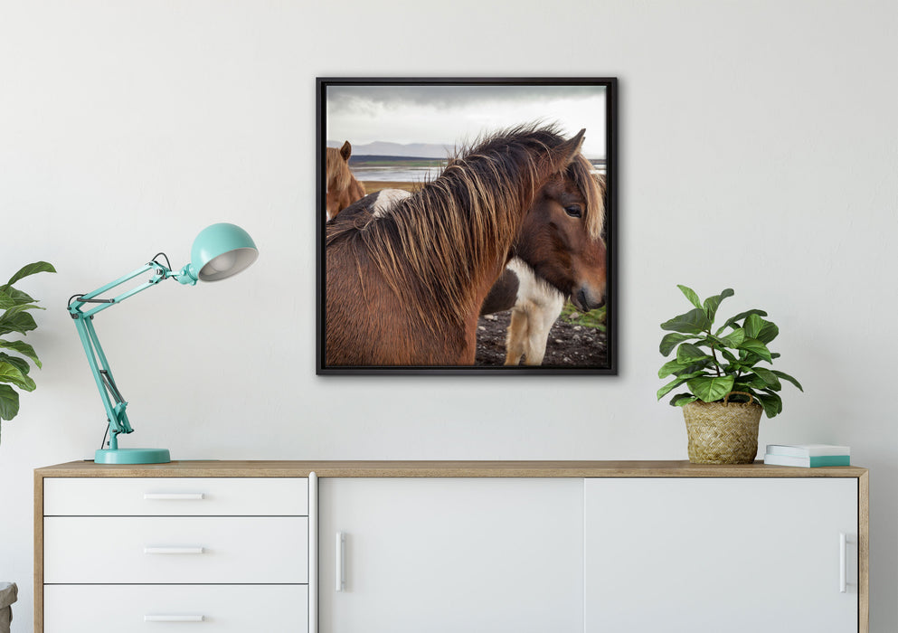 Herde aus schönen Wildpferden auf Leinwandbild gerahmt Quadratisch verschiedene Größen im Wohnzimmer