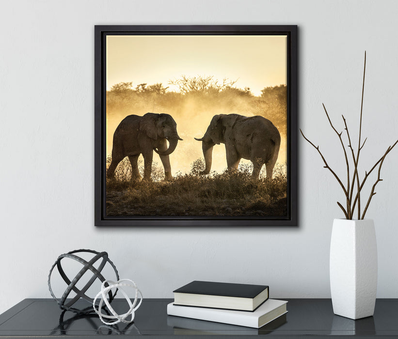 kämpfende Elefanten  auf Leinwandbild Quadratisch gerahmt mit Kirschblüten