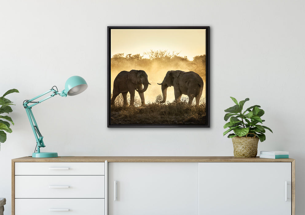kämpfende Elefanten auf Leinwandbild gerahmt Quadratisch verschiedene Größen im Wohnzimmer