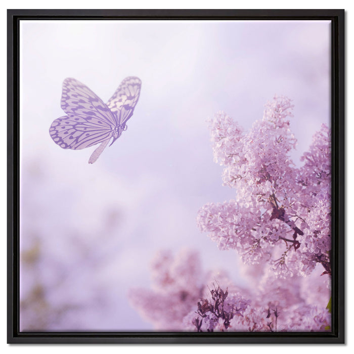 Schmetterling Kirschblüten auf Leinwandbild Quadratisch gerahmt Größe 60x60