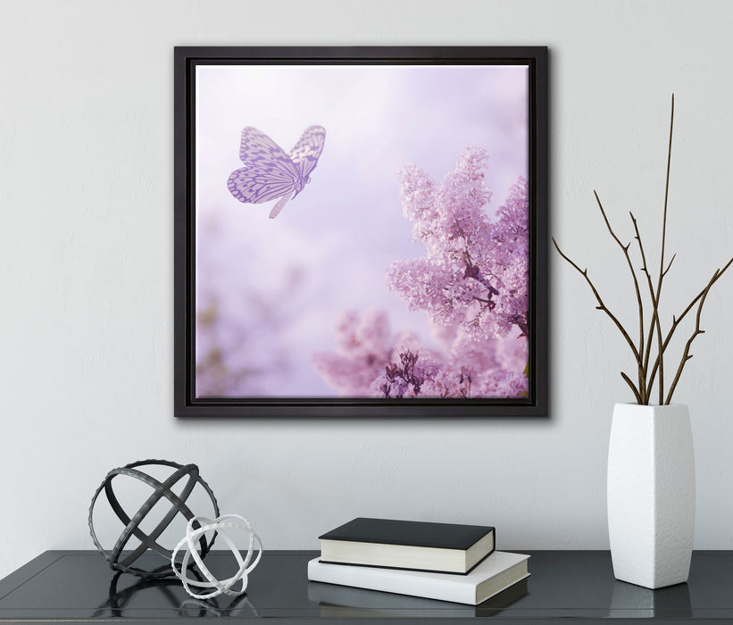 Schmetterling Kirschblüten  auf Leinwandbild Quadratisch gerahmt mit Kirschblüten