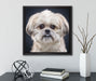 lustiger kleiner Hund  auf Leinwandbild Quadratisch gerahmt mit Kirschblüten