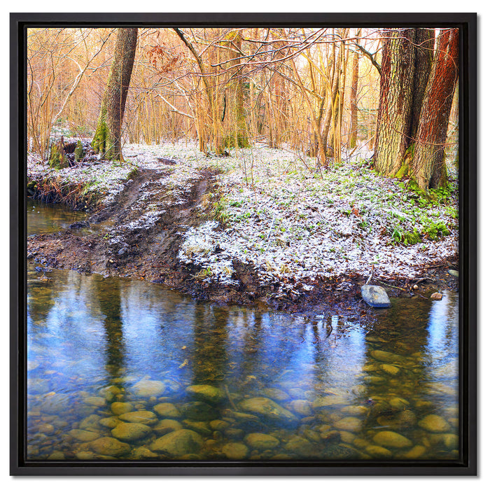 schneebedeckter Waldboden auf Leinwandbild Quadratisch gerahmt Größe 60x60