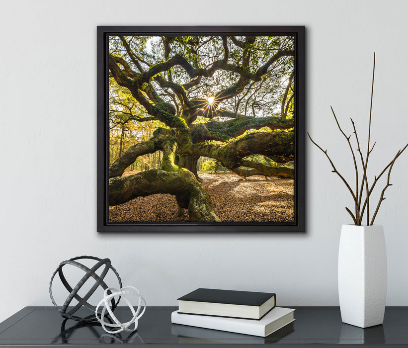 gigantisch verzweigter Baum  auf Leinwandbild Quadratisch gerahmt mit Kirschblüten
