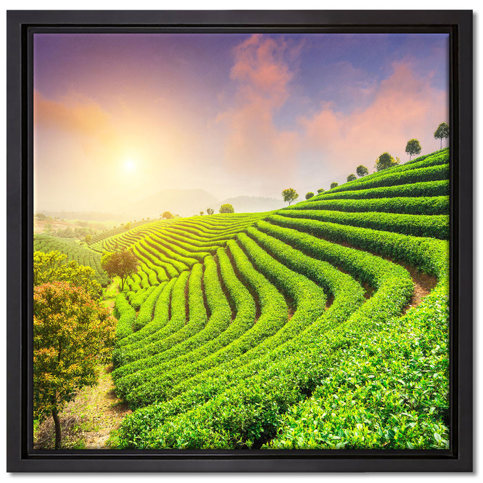 Japanische Treppenfelder auf Leinwandbild Quadratisch gerahmt Größe 40x40