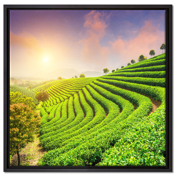 Japanische Treppenfelder auf Leinwandbild Quadratisch gerahmt Größe 60x60