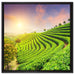 Japanische Treppenfelder auf Leinwandbild Quadratisch gerahmt Größe 60x60