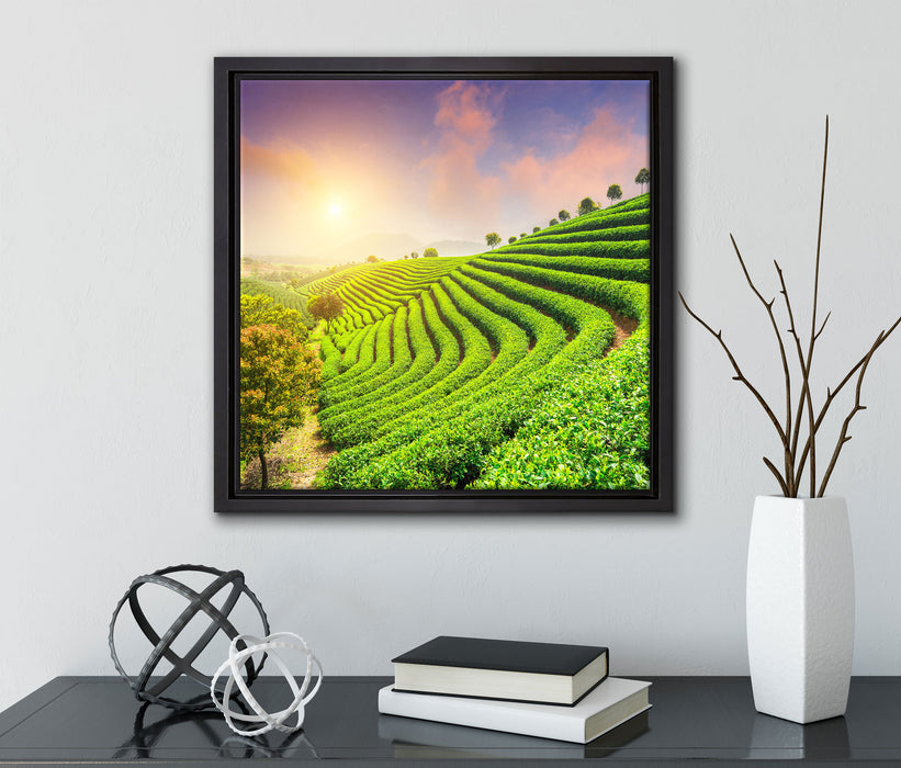 Japanische Treppenfelder  auf Leinwandbild Quadratisch gerahmt mit Kirschblüten