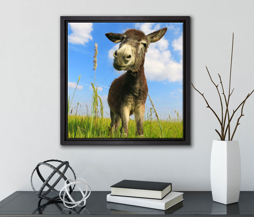 Esel in einem Feld  auf Leinwandbild Quadratisch gerahmt mit Kirschblüten