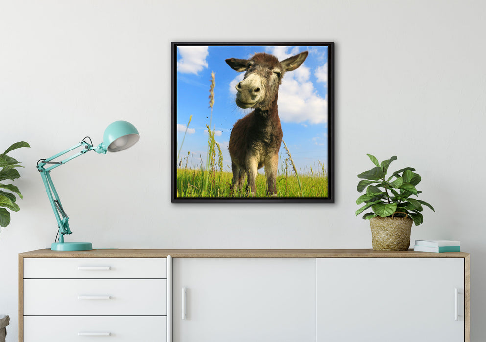 Esel in einem Feld auf Leinwandbild gerahmt Quadratisch verschiedene Größen im Wohnzimmer