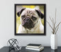 Mopsporträt  auf Leinwandbild Quadratisch gerahmt mit Kirschblüten