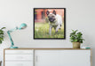 Rennender Mops auf Leinwandbild gerahmt Quadratisch verschiedene Größen im Wohnzimmer