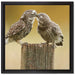 Küssende Eulen auf Leinwandbild Quadratisch gerahmt Größe 40x40