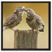 Küssende Eulen auf Leinwandbild Quadratisch gerahmt Größe 60x60