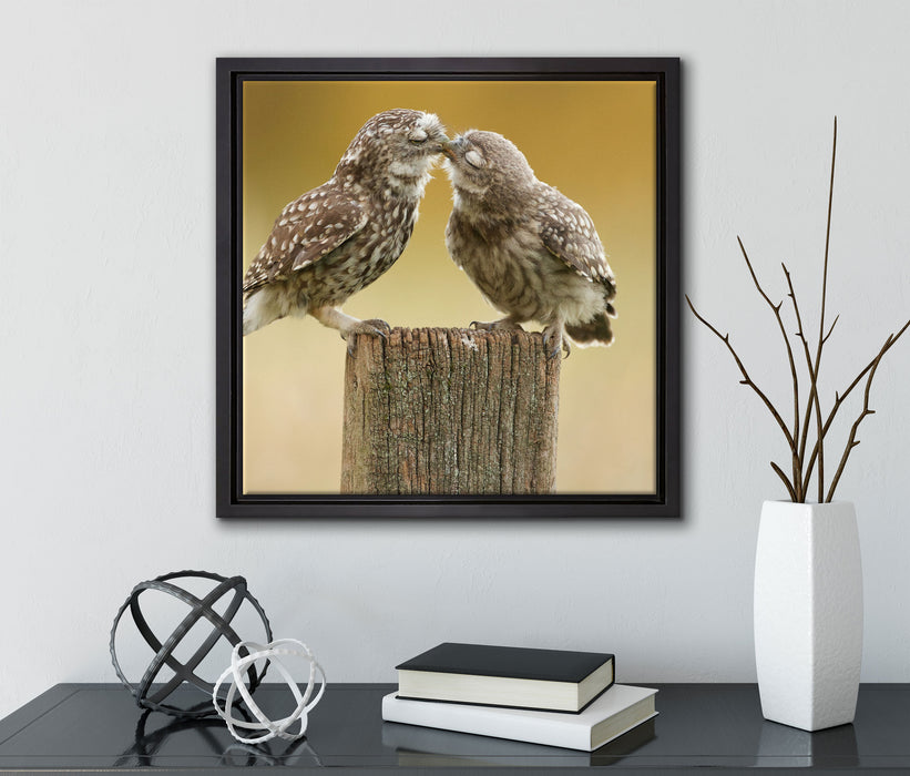 Küssende Eulen  auf Leinwandbild Quadratisch gerahmt mit Kirschblüten