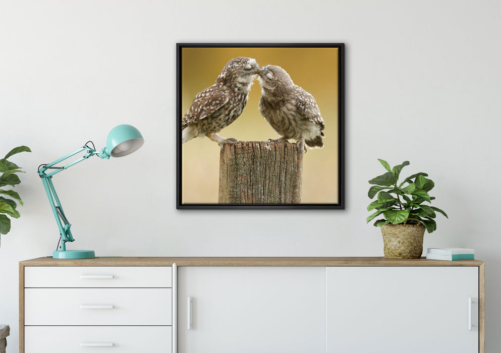 Küssende Eulen auf Leinwandbild gerahmt Quadratisch verschiedene Größen im Wohnzimmer