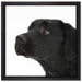 Schwarzer Labrador im Schnee auf Leinwandbild Quadratisch gerahmt Größe 40x40