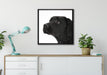 Schwarzer Labrador im Schnee auf Leinwandbild gerahmt Quadratisch verschiedene Größen im Wohnzimmer