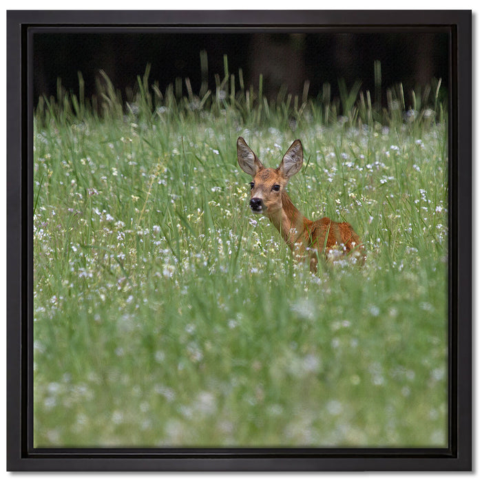 kleines Rehkitz auf Wiese auf Leinwandbild Quadratisch gerahmt Größe 40x40
