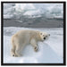 Eisbär auf Eisberg auf Leinwandbild Quadratisch gerahmt Größe 70x70