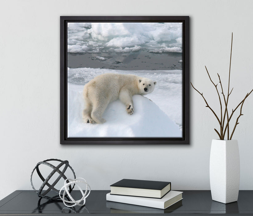 Eisbär auf Eisberg  auf Leinwandbild Quadratisch gerahmt mit Kirschblüten